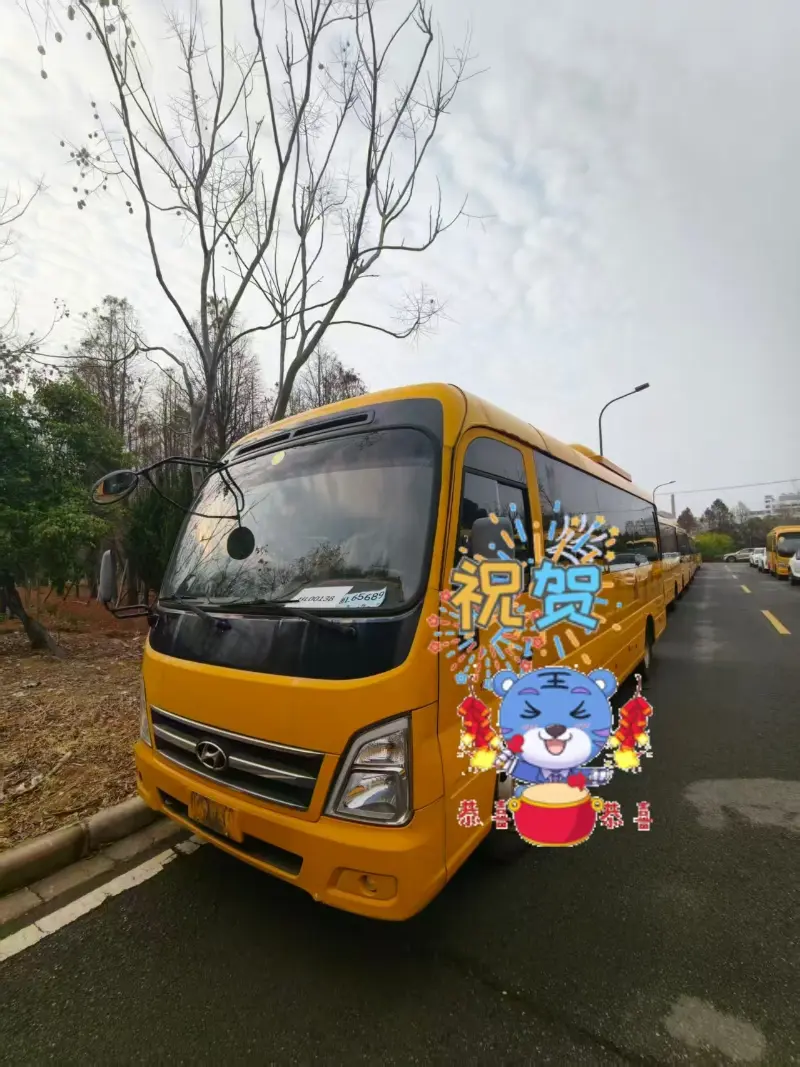 Negócio de ônibus de passageiros usados ​​de Honglong na China avança constantemente em março; Vários veículos entregues a clientes globais